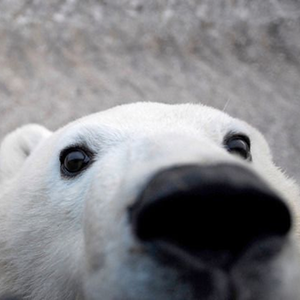 Guest list thumbnail